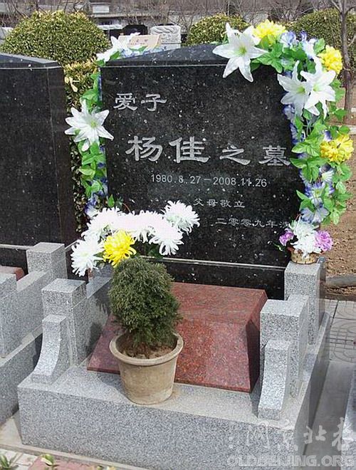 福田杨佳之墓(图)