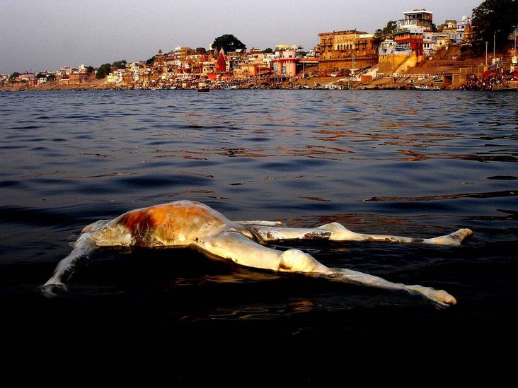 印度恒河的恶心图片腐烂死人恒河图片印度恒河图片最恶心的死人图片