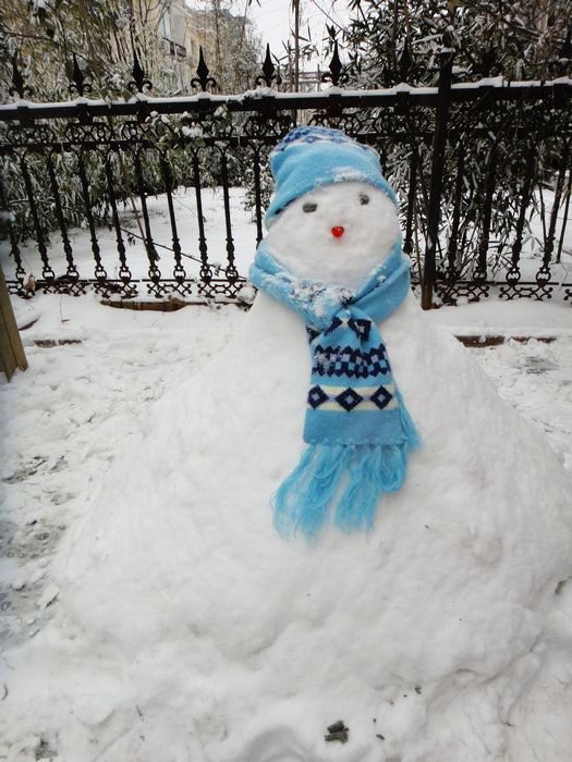 终于又见雪飘落,葡萄架下堆雪人.(10图)