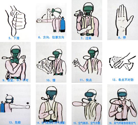 不错,天涯海角可以;蜈支洲岛--号称中国的马尔代夫有最好的潜水基地