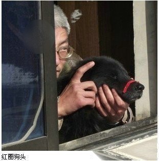 玩摄影的谁在啊。解释一下红圈,还有狗头啥的
