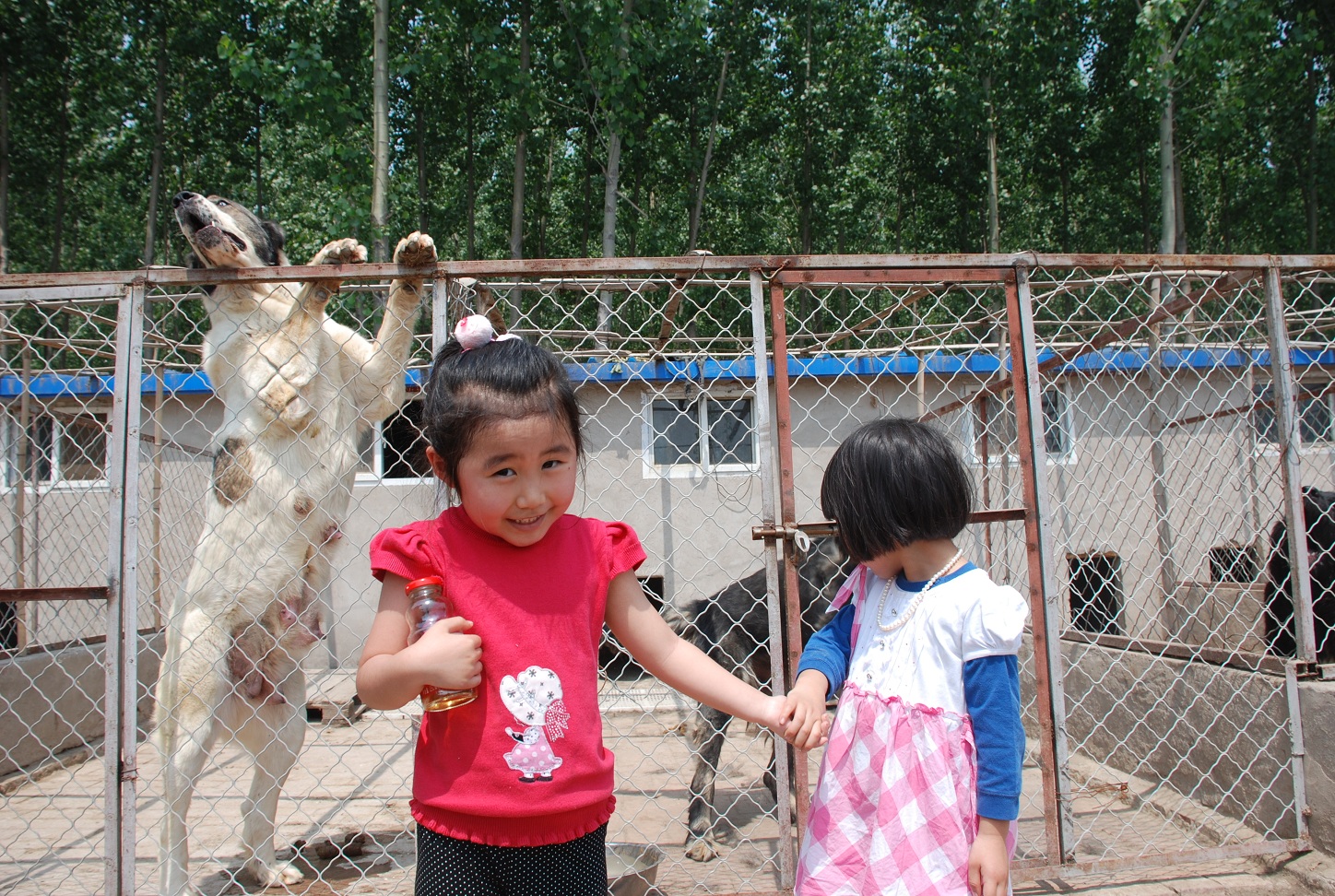胆小勿入哦,<em>闺女</em>和<em>表姐</em>参观猛犬基地_