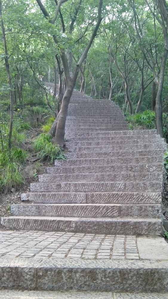 南京紫金山登山照片