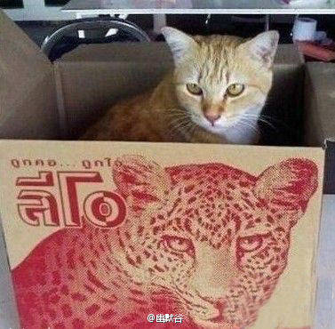 新买的iphone感觉不大对劲,是不是被骗了。