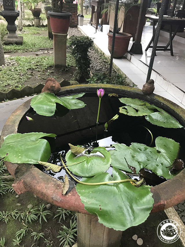 20170811212855_97.jpg