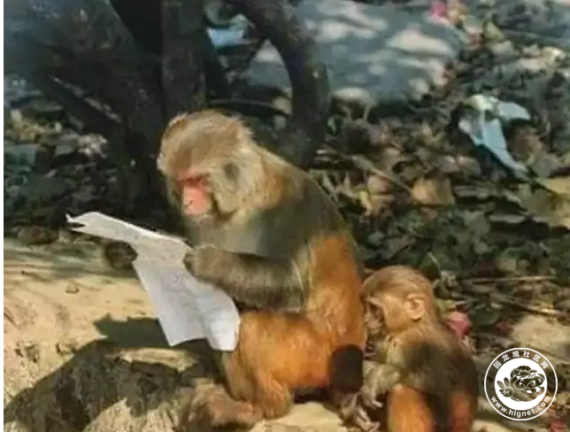 20170823105549_63.png QQ截图20170823105410.png