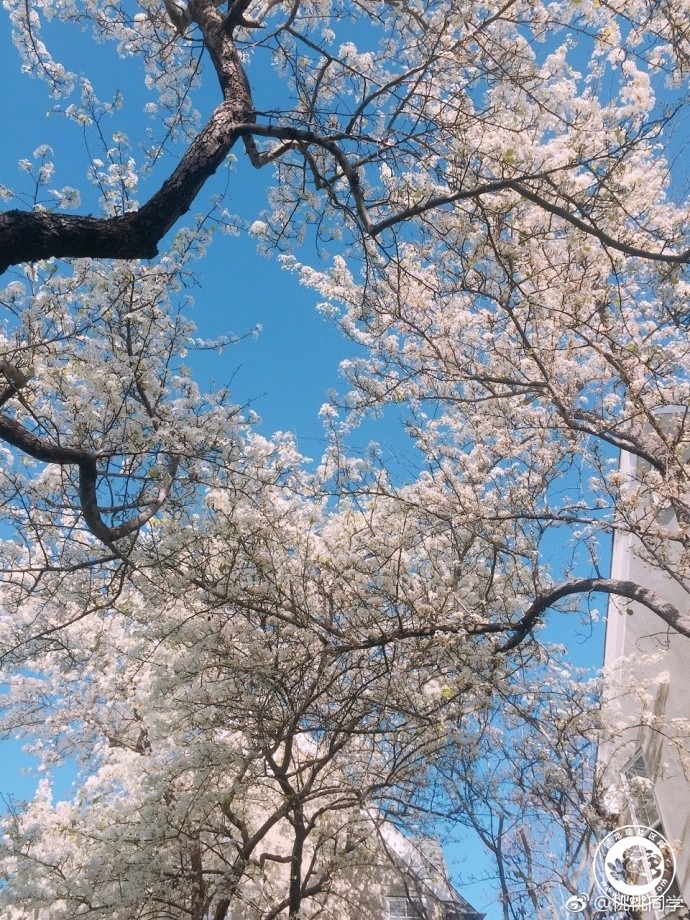20180319104850_90.jpg