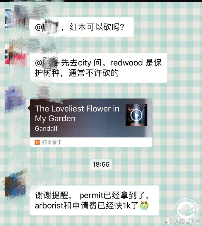 20180319105147_53.jpg 效率-砍树.jpg