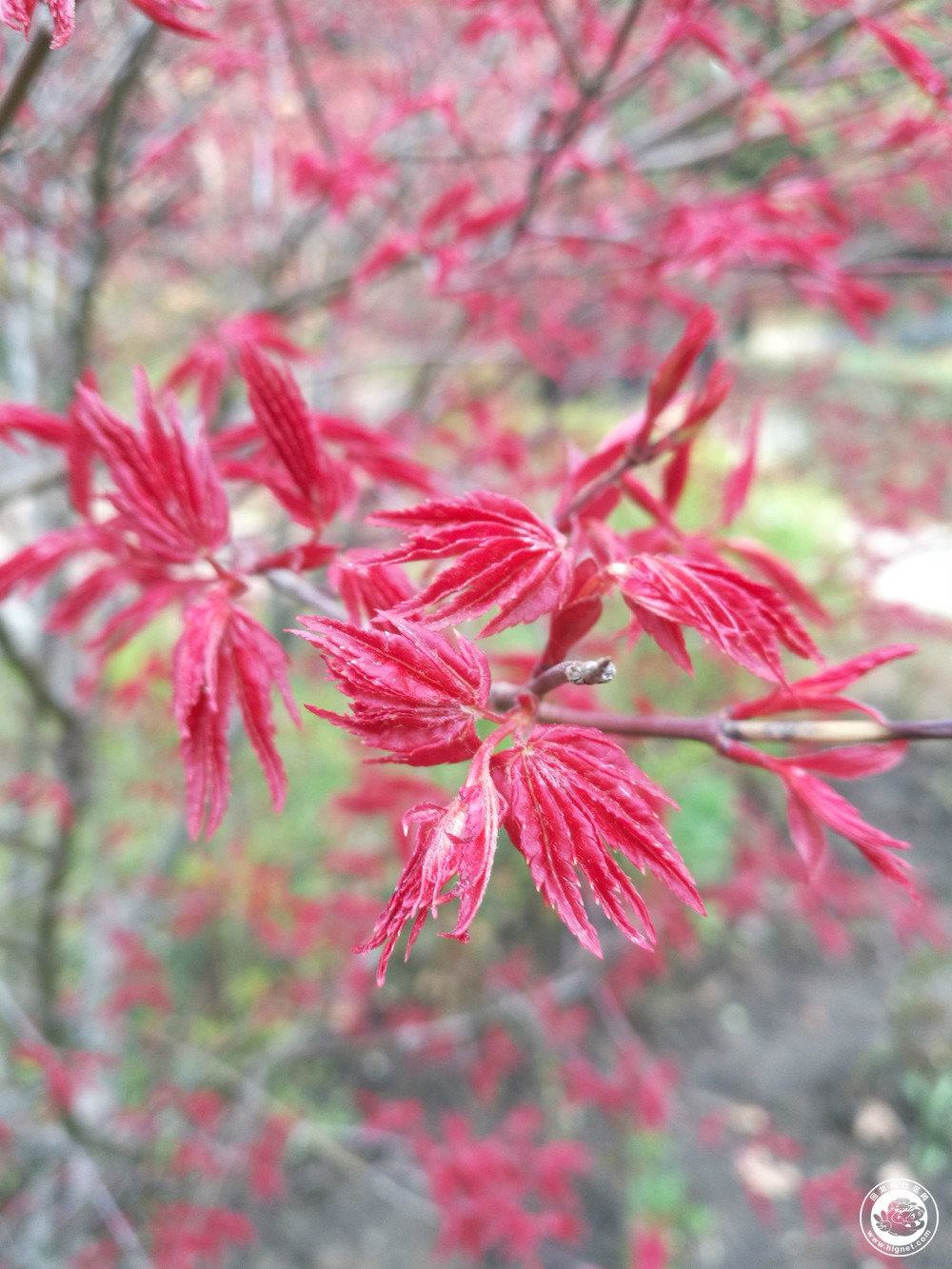 20180404130304_42.jpg