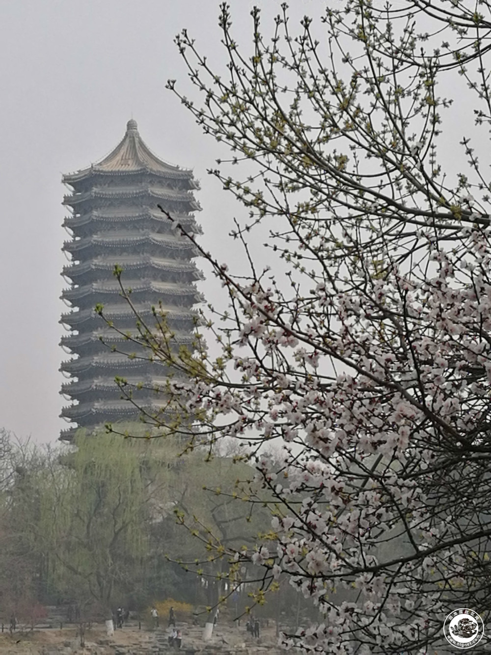 20180404130315_49.jpg