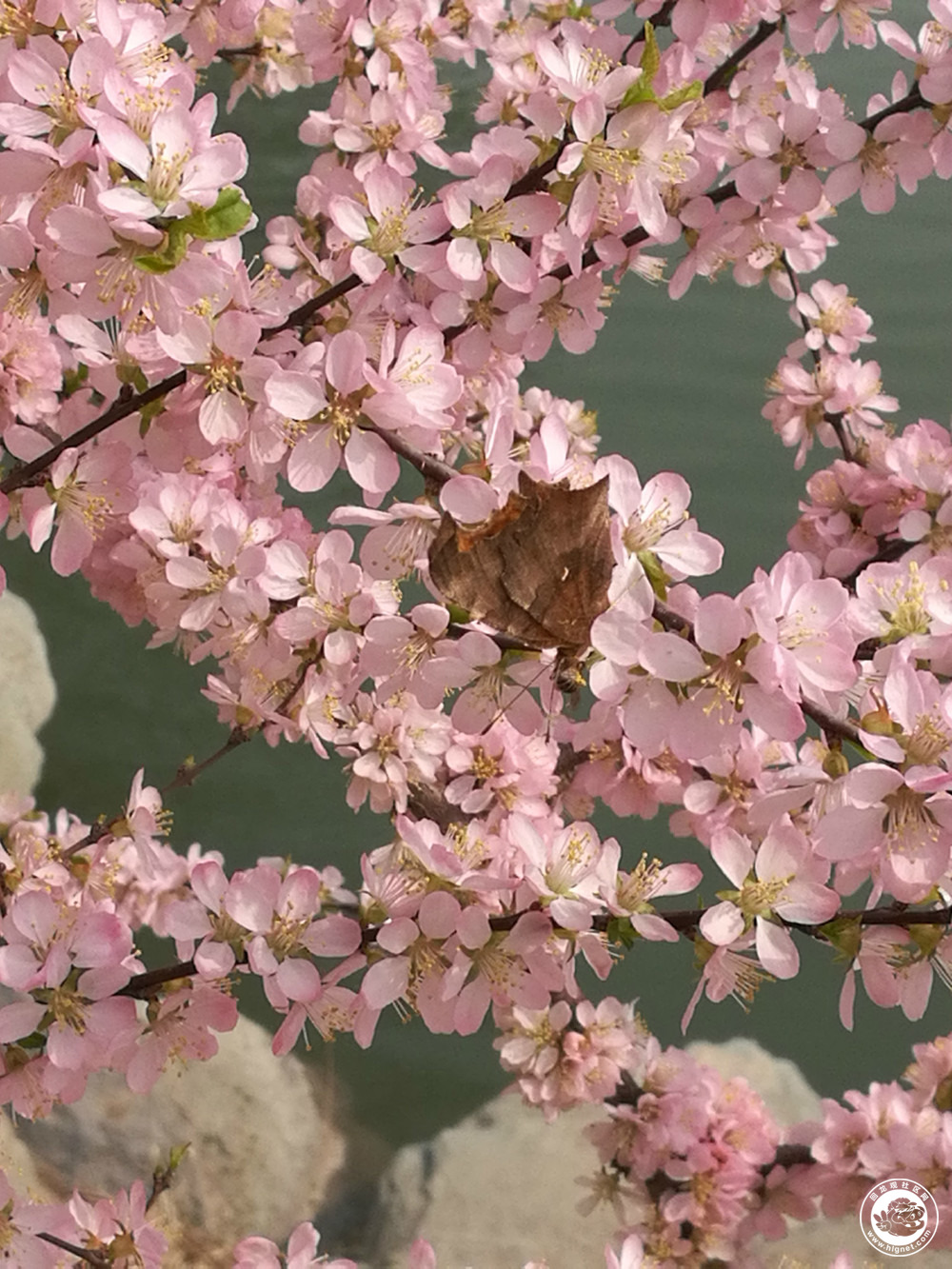 20180404130318_29.jpg