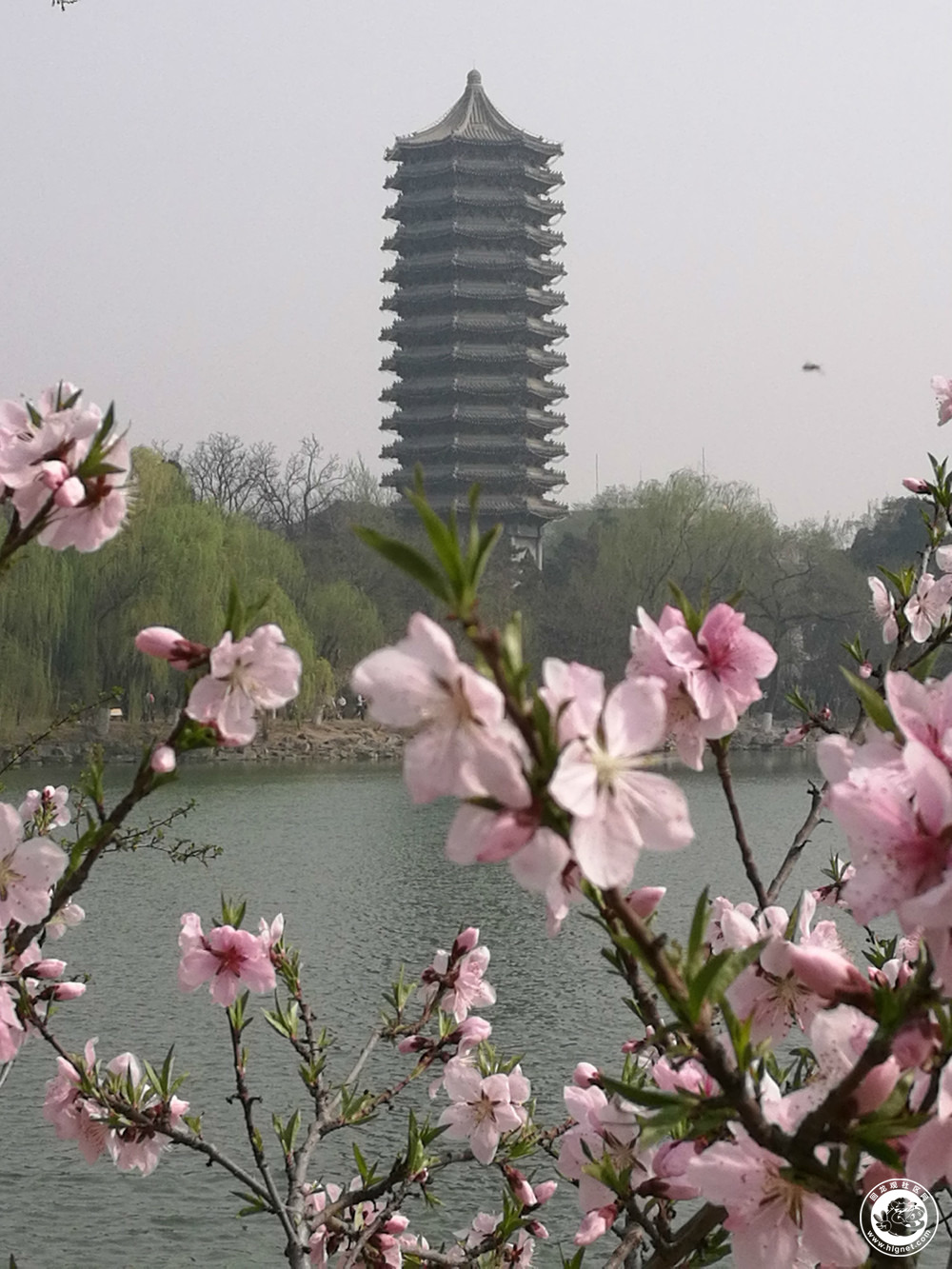 20180404130335_67.jpg