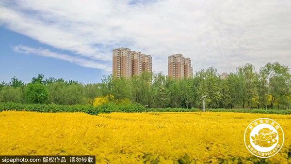 20180420113046_13.jpg 微信图片_20180420112340.jpg