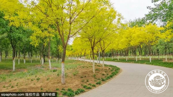 20180420113051_7.jpg 微信图片_20180420112342.jpg