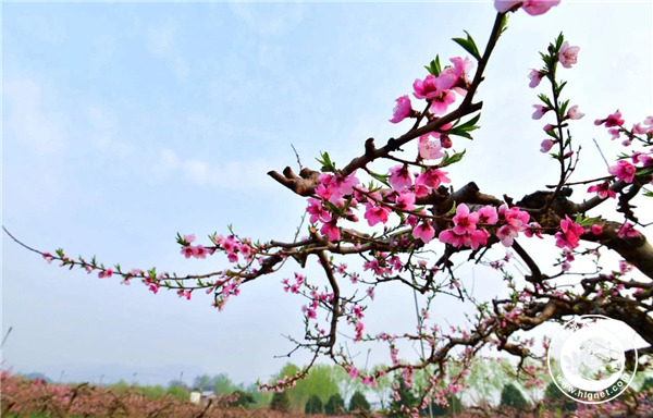 20180420113128_91.jpg 微信图片_20180420112353.jpg