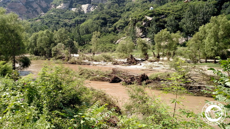 20180811001945_31.jpg