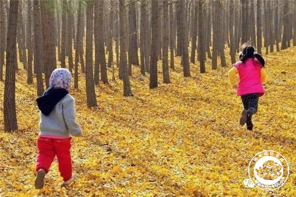 20181010104348_14.jpg 微信图片_20181010103802.jpg