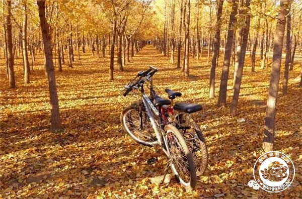 20181010104359_37.jpg 微信图片_20181010103805.jpg