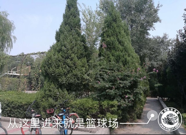 20190520110215_21.jpg