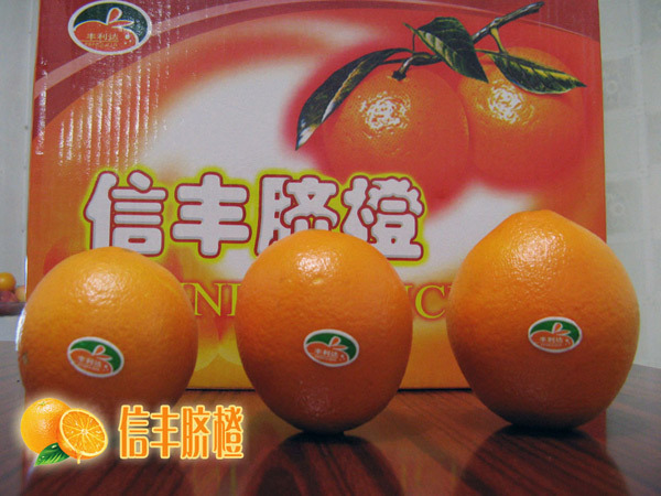 ★唇齿留香的华夏第一橙赣南信丰脐橙开团啦_回龙观社区网集采地带_回龙观社区网