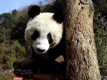 北京旅游景点门票五一特惠价格比团购还实惠
