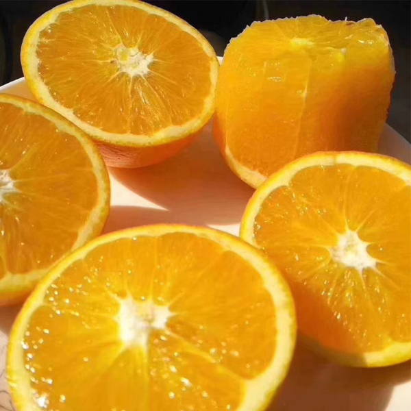 赣南寻乌脐橙甲天下，9分甜1分酸10分好吃！