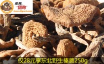 棒蘑是迄今为止为数不多的被人们所认知但仍然无法人工培育的野生菌类，堪称名副其实的“山珍”，被人们称为“东北第四宝”。榛蘑的维生素E含量高达36%，能有效地延缓衰老，防治血管硬化，润..