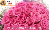  19枝粉玫瑰，搭配 满天星， 精美包装，让鲜花给节日带来不一样的感受！
