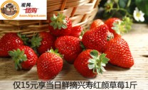  红颜草莓：又称“红颊草莓”，是以“幸香”为父本、“章姬”为母本，由日本静岗县农业试验场杂交育成的优质大果型草莓品种果实长椭圆形，果实表面和内部色泽均呈鲜红色，果形秀美，富有光泽..