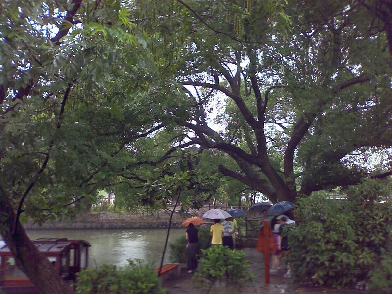 杭州西溪湿地公园雨中游记大量照片