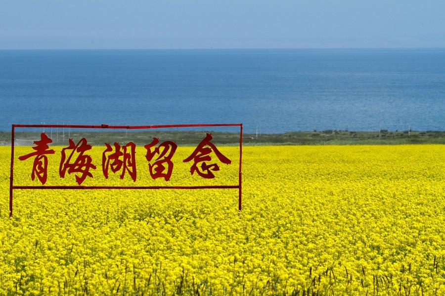 去格尔木的路上一路隔壁风光开始让我有些无聊,在电台里和过路的车友七七八八的闲聊几句以外没有什么乐趣。开始出现审美疲劳,蓝天和白云已经不能给我任何的兴奋。。 里格尔木还有300公里的隔壁上出现了雷暴,闪电四面八方围着我打。把车停到边上长时间曝光,搞到了我的小车和闪电的亲密合影 screen.