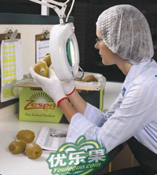 新西兰人口多少_新西兰各地区人口数量分布图 -马上注册,结交更多好友,享用更(2)