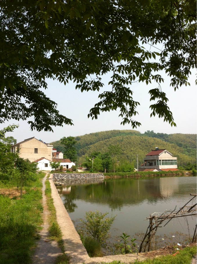 外婆家門口的景色,新農村建設使小村子發生日新月異的變化