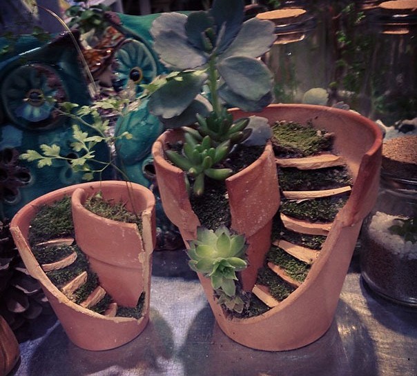 78破损的花盆创意改造打造新奇趣味盆栽盆景