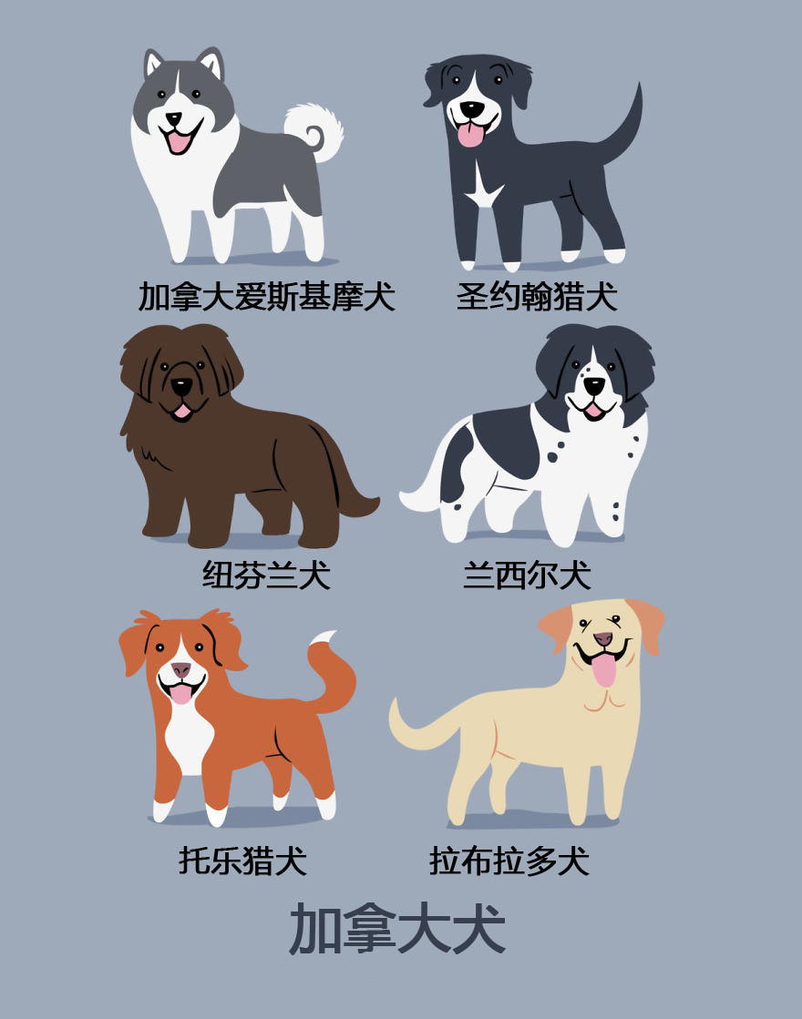 【涨姿势】养了这么多年狗,你知道它们的祖籍是哪儿么?