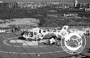 1418088878624486.jpg 127284185_14179931584391n.jpg