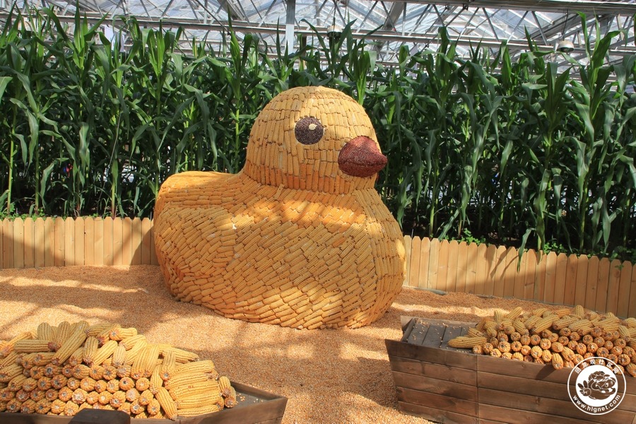 很有创意用玉米制作的黄小鸭