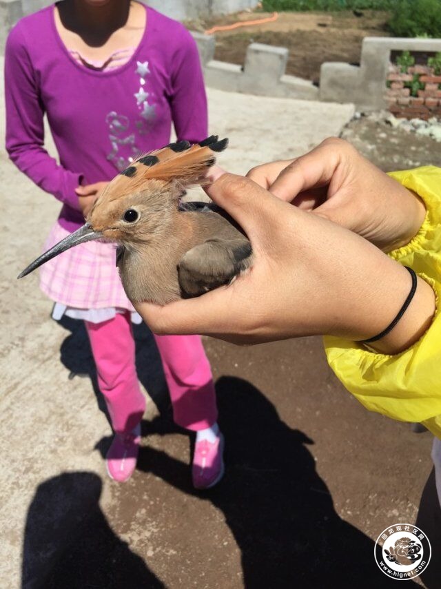 20150820140450_77.jpg