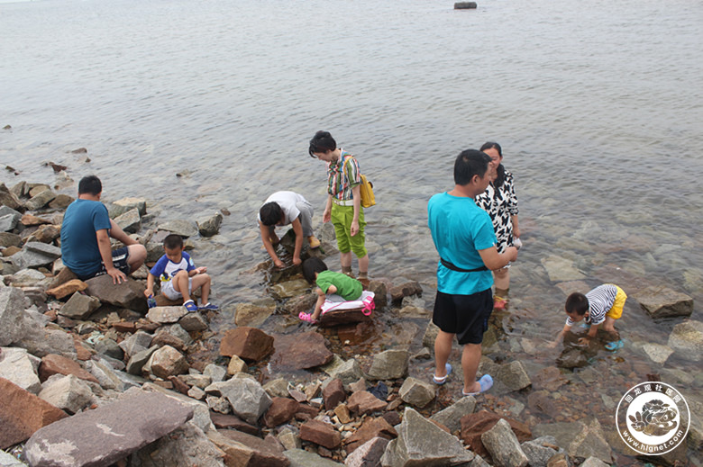 20150827090037_48.jpg