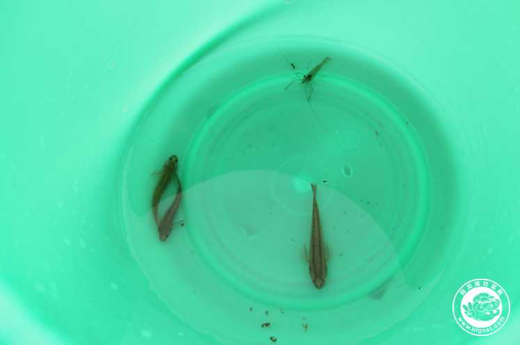 20150827090100_16.jpg d47.jpg