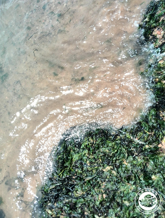 20150827133447_21.jpg