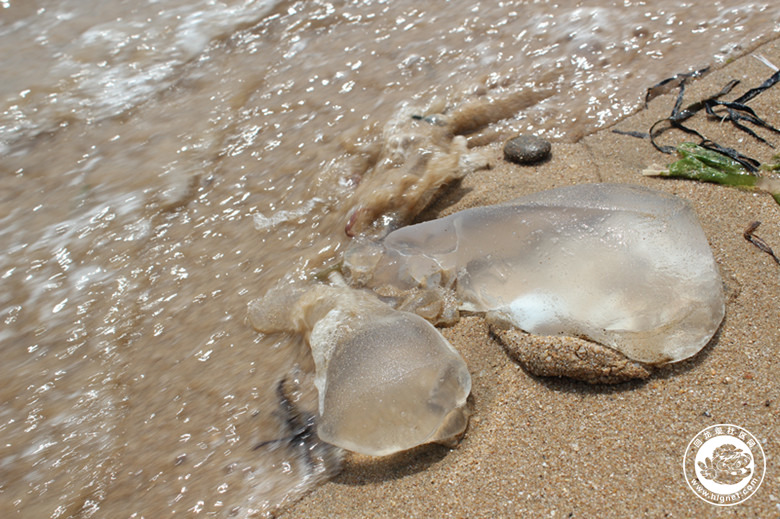 20150827133447_23.jpg