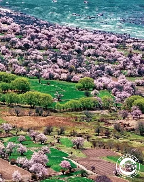 20150915100149_89.jpg 1T425A33-0.jpg