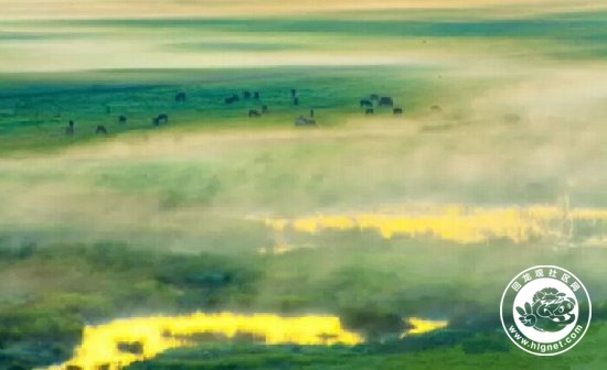 20150915100329_47.jpg 1T4255137-2.jpg