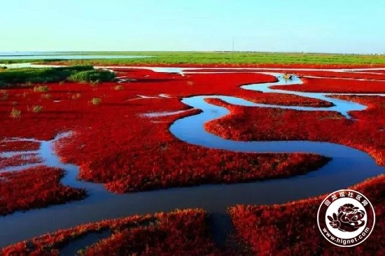 20150915100413_77.jpg 1T4252041-3.jpg