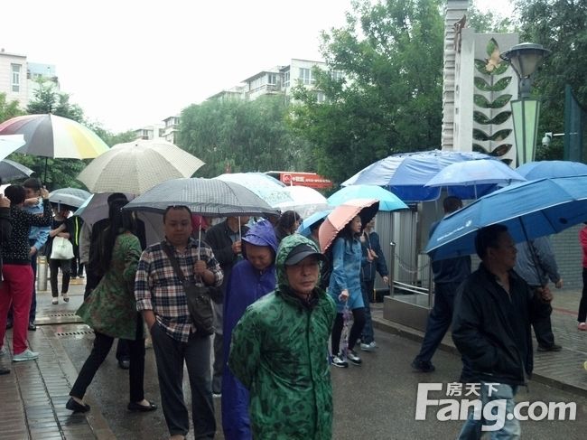 手机拍摄，雨中花折伞，浓浓爱子情。 