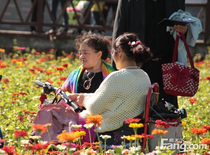 【国庆随手拍】北园花海红似火，巧遇轮椅赏花团： 