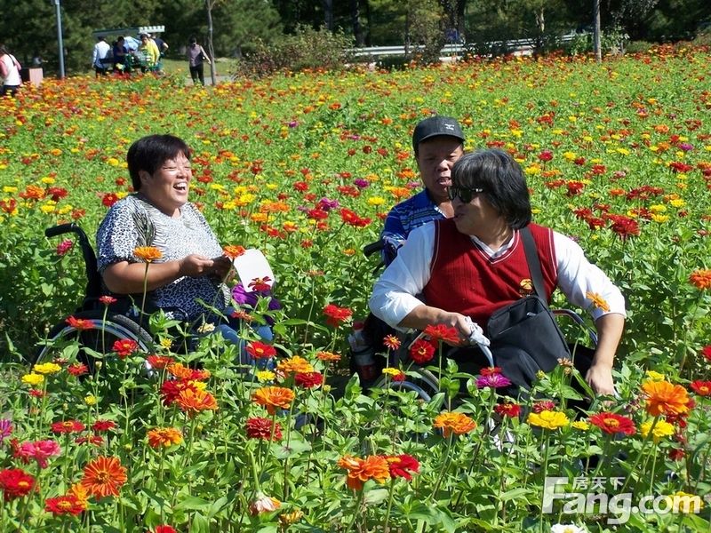 【国庆随手拍】北园花海红似火，巧遇轮椅赏花团： 