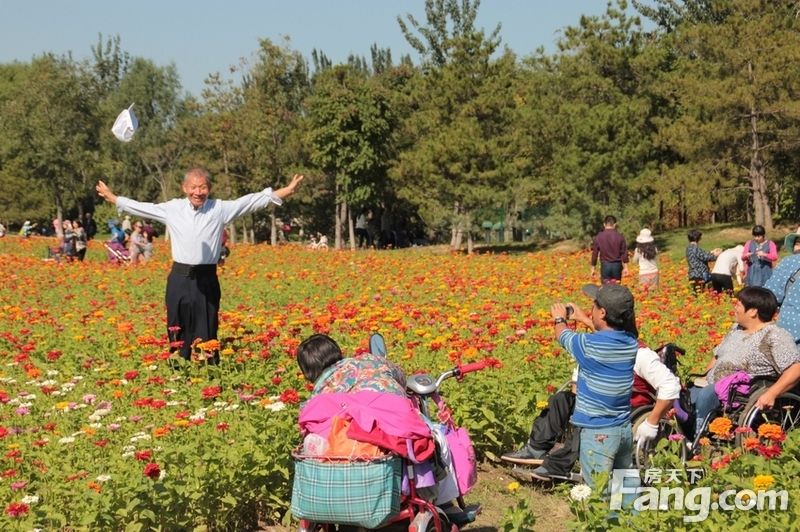 【国庆随手拍】北园花海红似火，巧遇轮椅赏花团： 