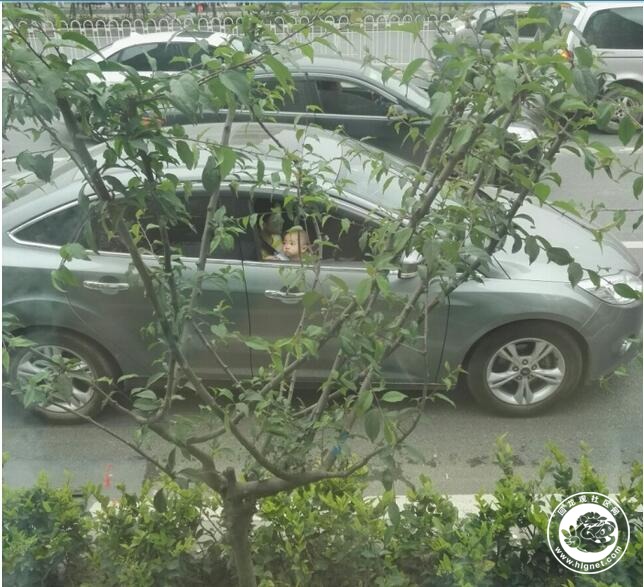 20160920172620_21.jpg QQ截图20160920172315.jpg